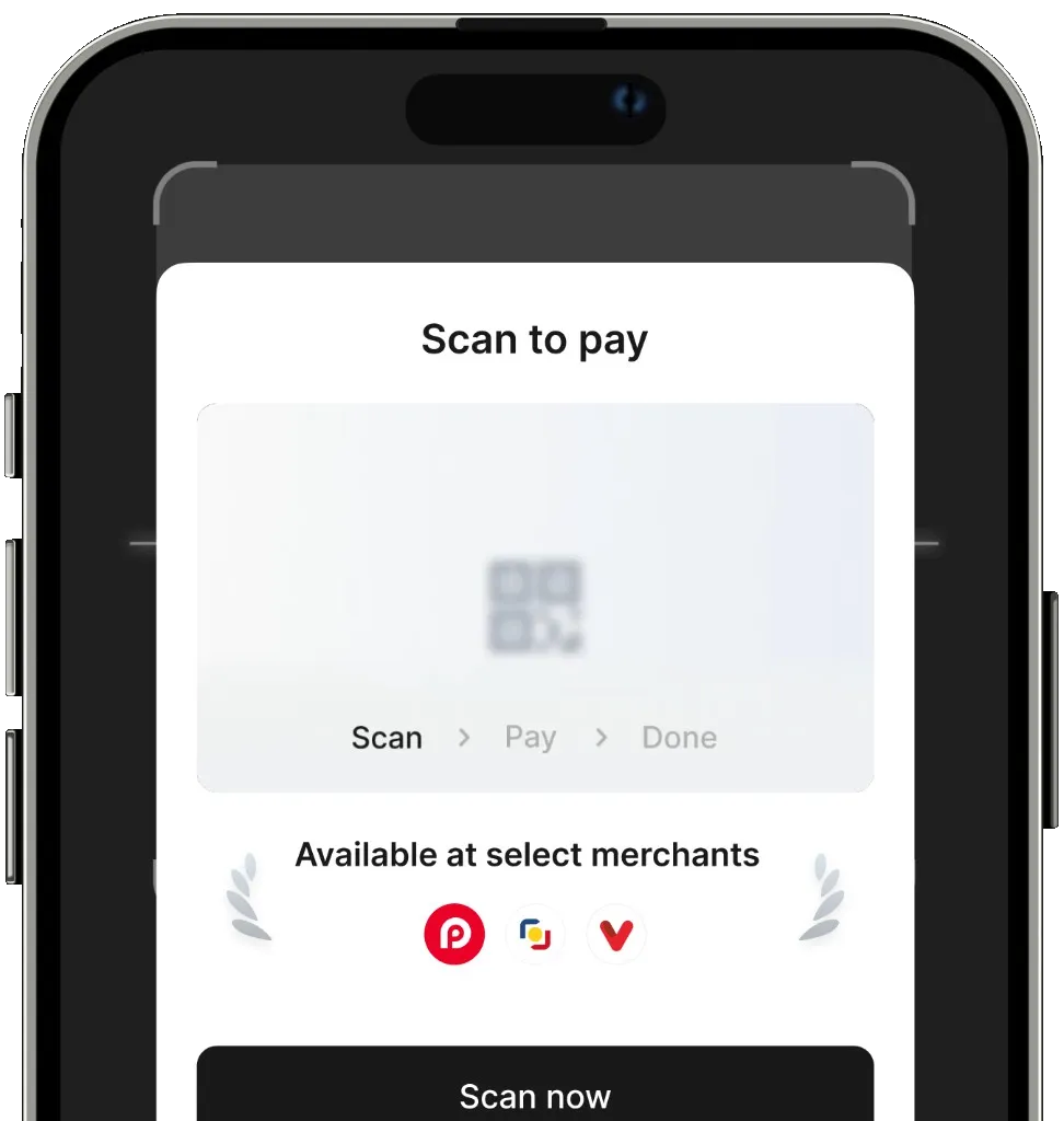 Scan to Pay
